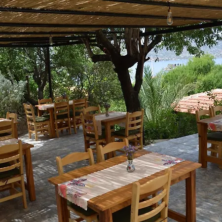 Palmira Bungalow & Camping * Selimiye (Aegean)