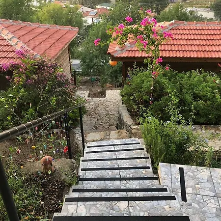 Palmira Bungalow & Camping *