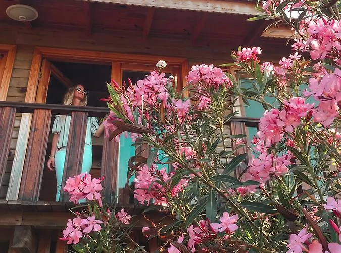 Ξενοδοχείο Palmira Bungalow & Camping