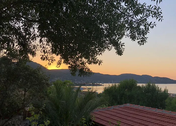 Ξενοδοχείο Palmira Bungalow & Camping
