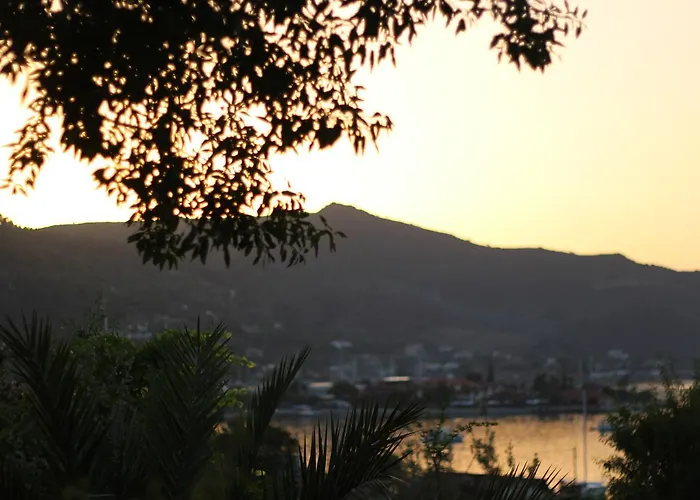 Ξενοδοχείο Palmira Bungalow & Camping *