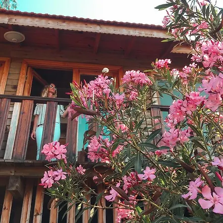 호텔 Palmira Bungalow & Camping