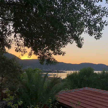 호텔 Palmira Bungalow & Camping