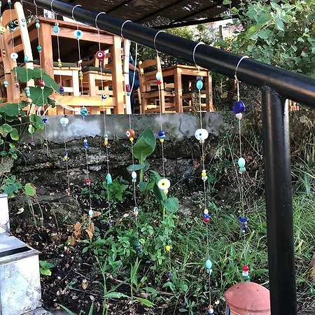 호텔 Palmira Bungalow & Camping