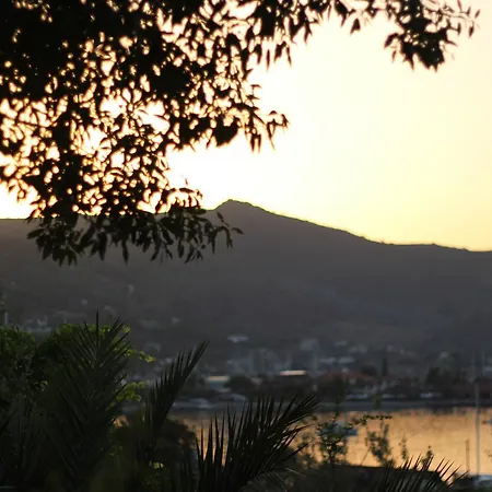 호텔 Palmira Bungalow & Camping *